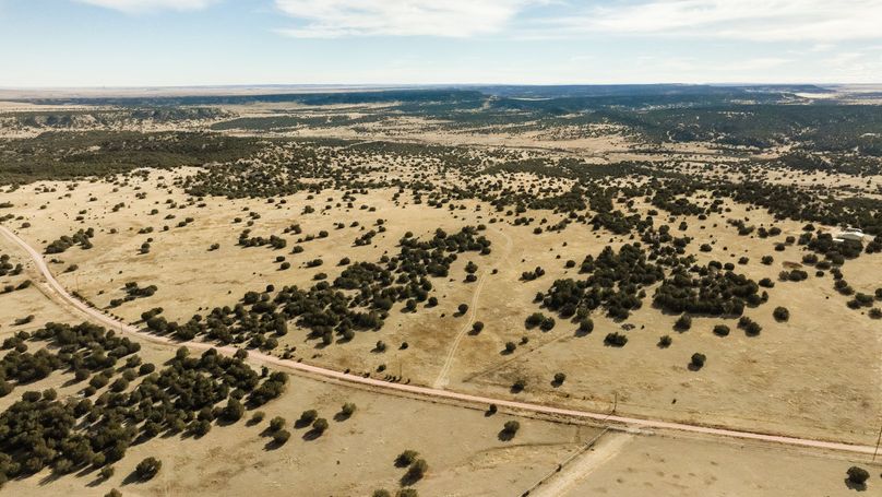 Elevated Building Parcel In Red Creek Ranch | Whitetail Properties