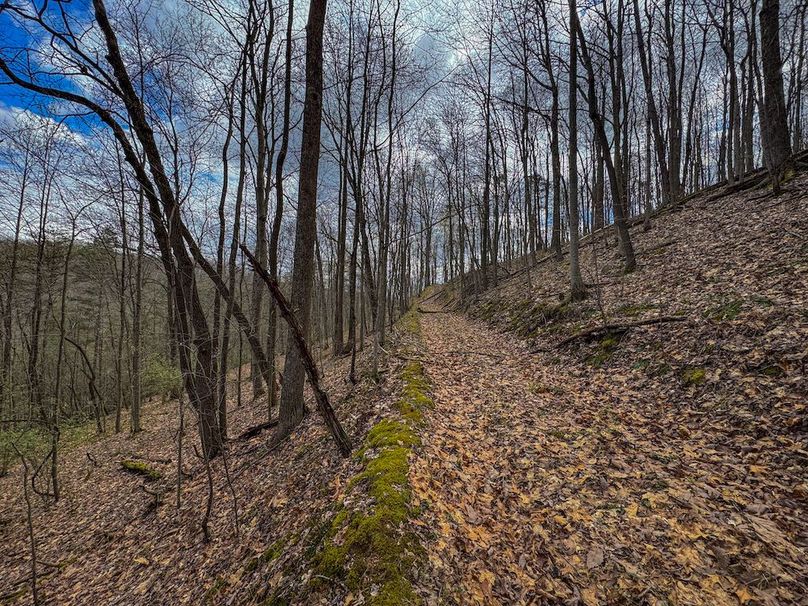 Wirt, WV 62.5 AC Full-10