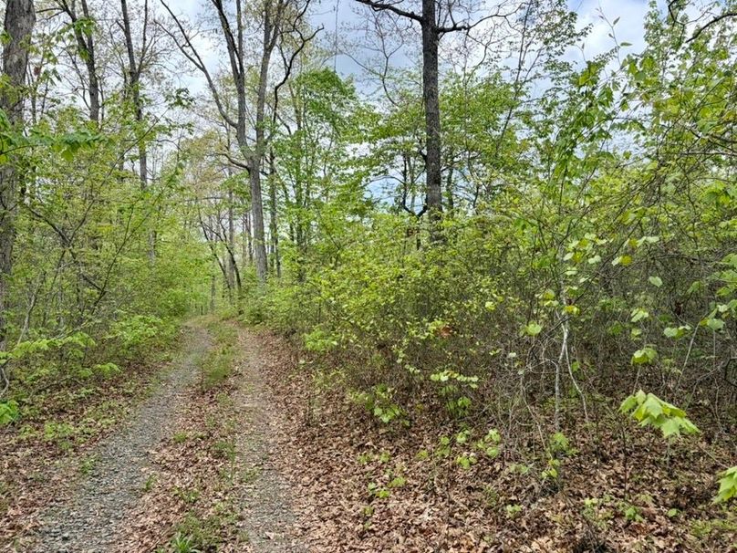 7D11F886-D571-4419-913B-0BDF15A1F304_1_105_c-2