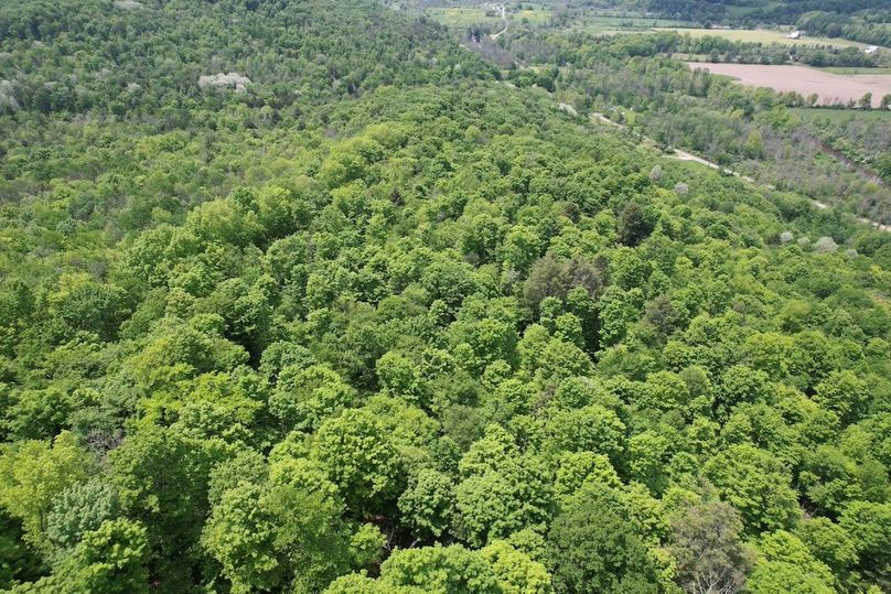 Tioga_78_Biada_Photos_87