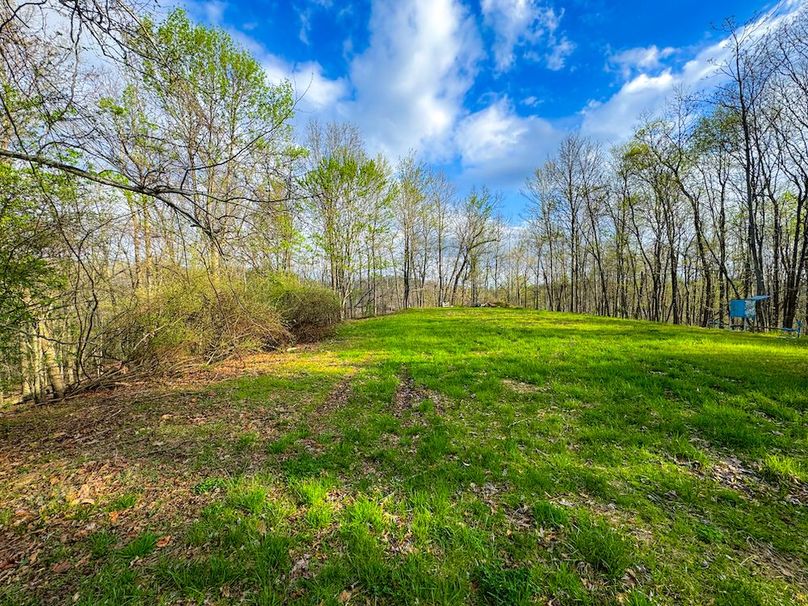 Calhoun, WV 132.84 AC Szegi 2-120