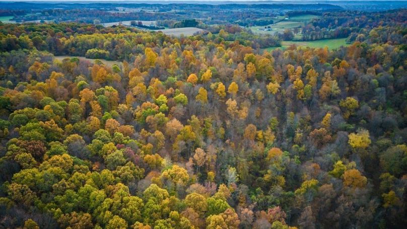 10-zj 5198 McKinney Xing008