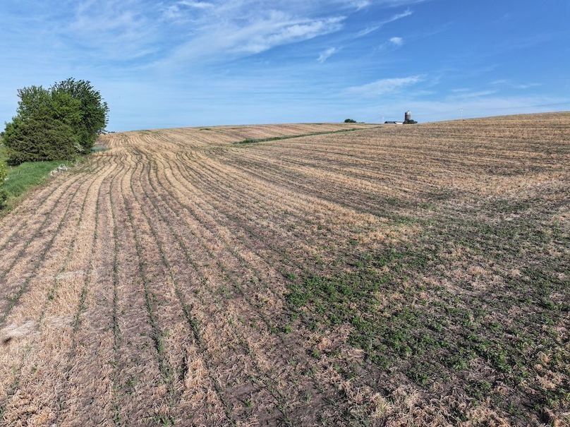 DJI_20260524073048_0085_D