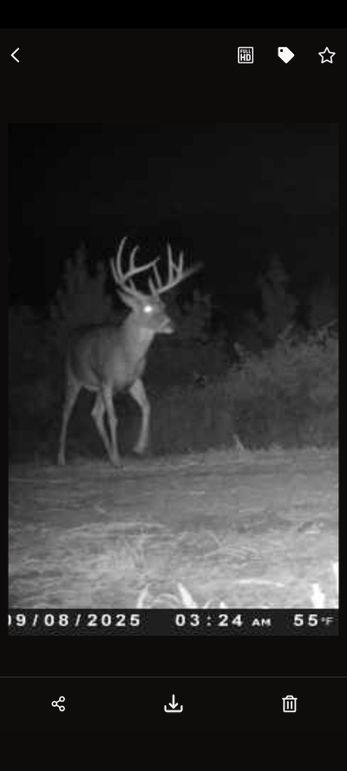trail cam 8