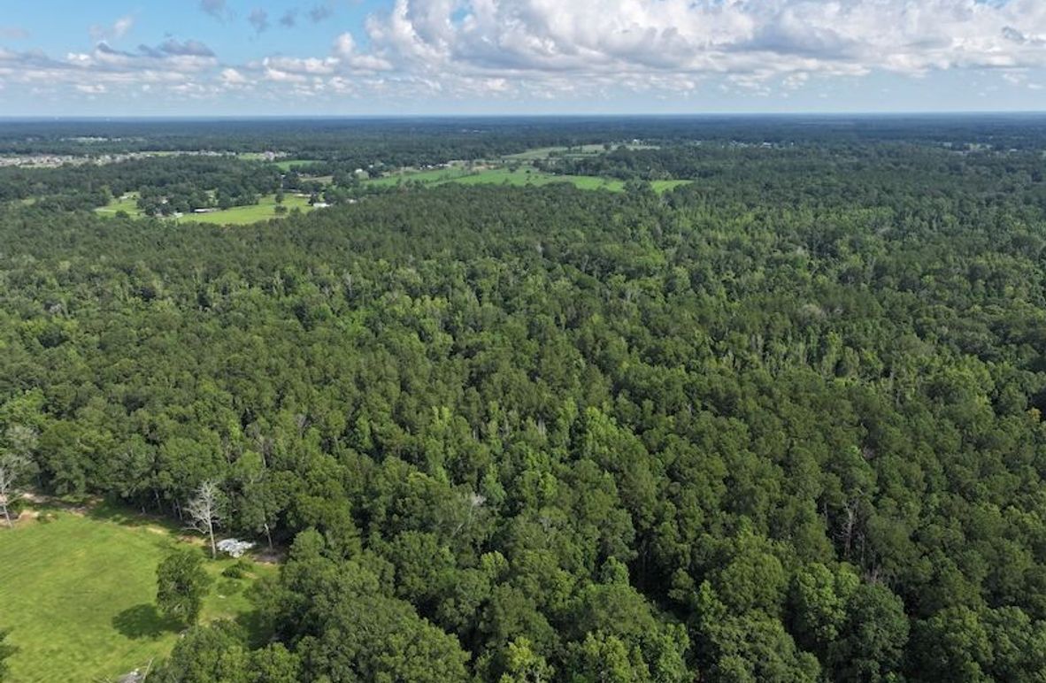 dji_fly_20250624_100320_0131_1750950817861_photo