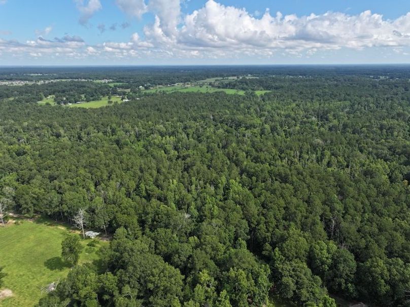 dji_fly_20250624_100320_0131_1750950817861_photo