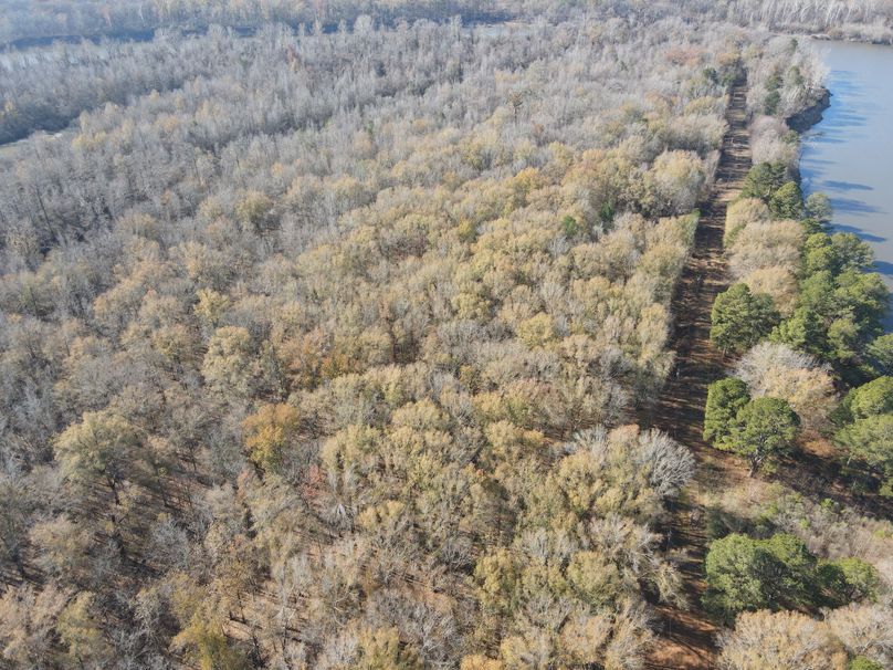 dji_fly_20240104_103346_14_1704386036848_photo