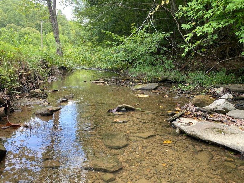 018 Puncheon Creek flowing along the road in the main valley