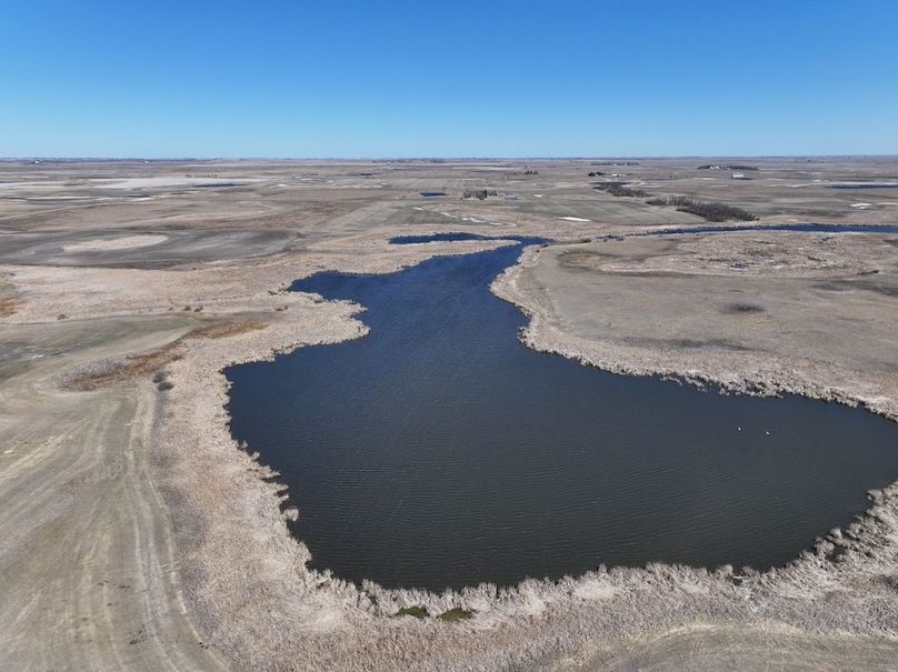 DJI_20240423113438_0040_D