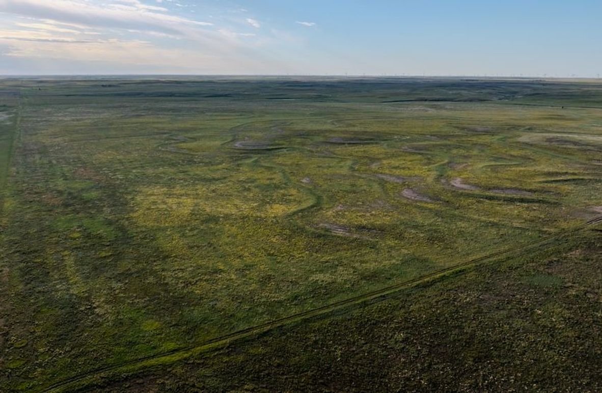 DJI_20250803072117_0020_D-HDR