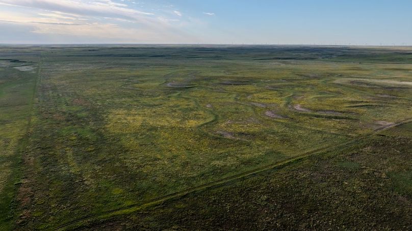 DJI_20250803072117_0020_D-HDR