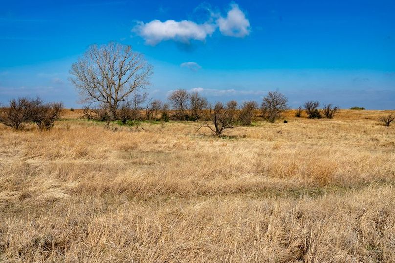 Saline Ks, 159_008