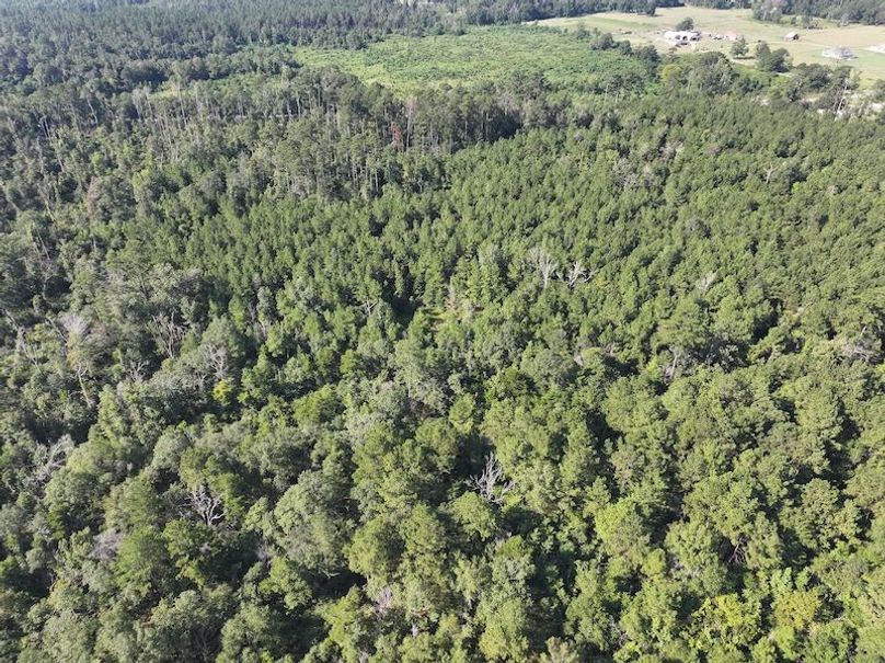 dji_fly_20250818_095040_0360_1755614659854_photo