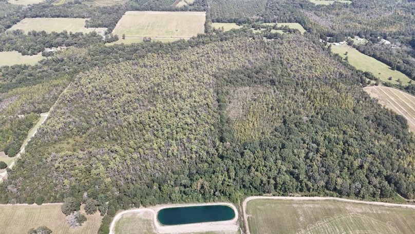 DJI_20250923005024_0741_D