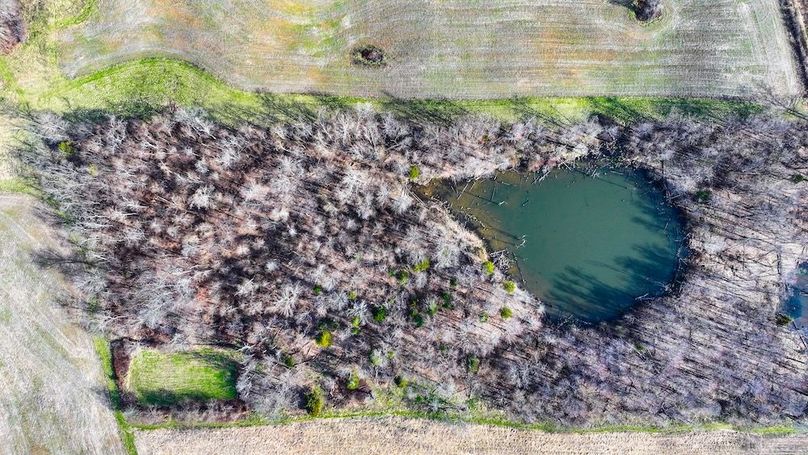 dji_fly_20260321_102512_0105_1774103508816_photo