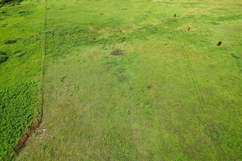 DJI_0630