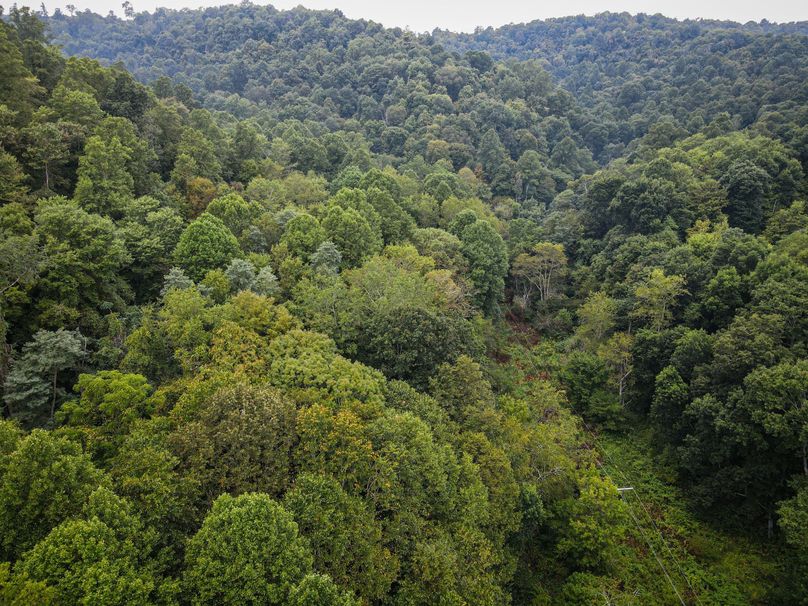 dji_fly_20230907_074416_80_1694087072931_photo