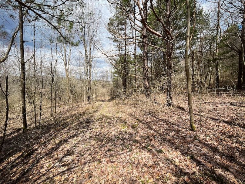 Tioga__NY_109.7_Burris_Photos_63