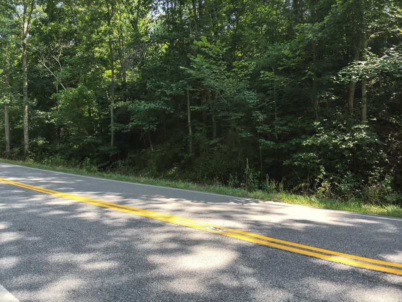 50. Road View into Property (41acres)