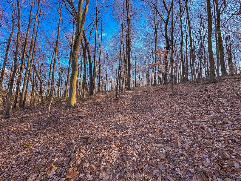 Pleasants, WV 81 AC Barron-23