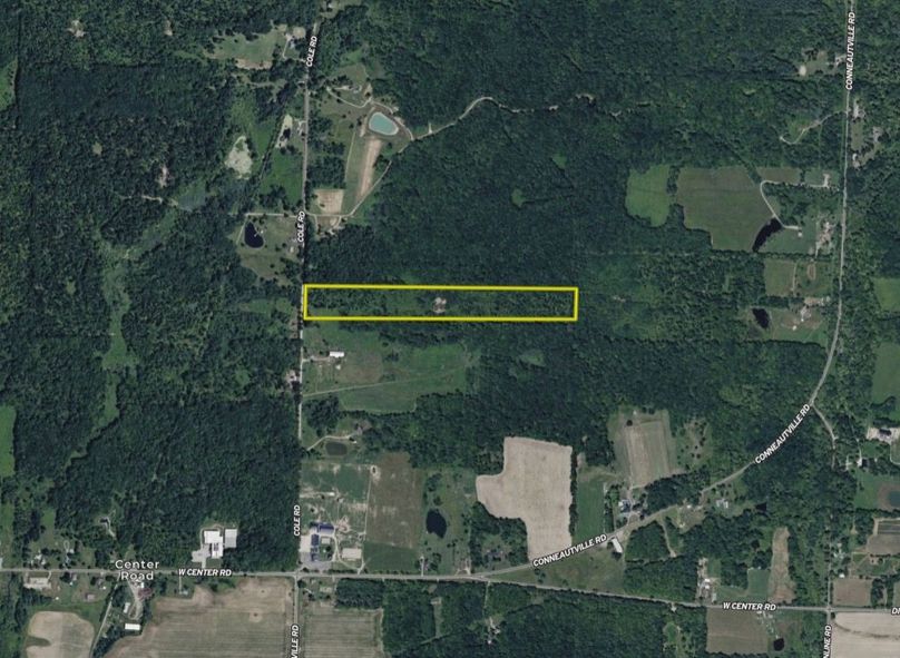 Screen Shot 2026-02-04 at 2.05.27 PM