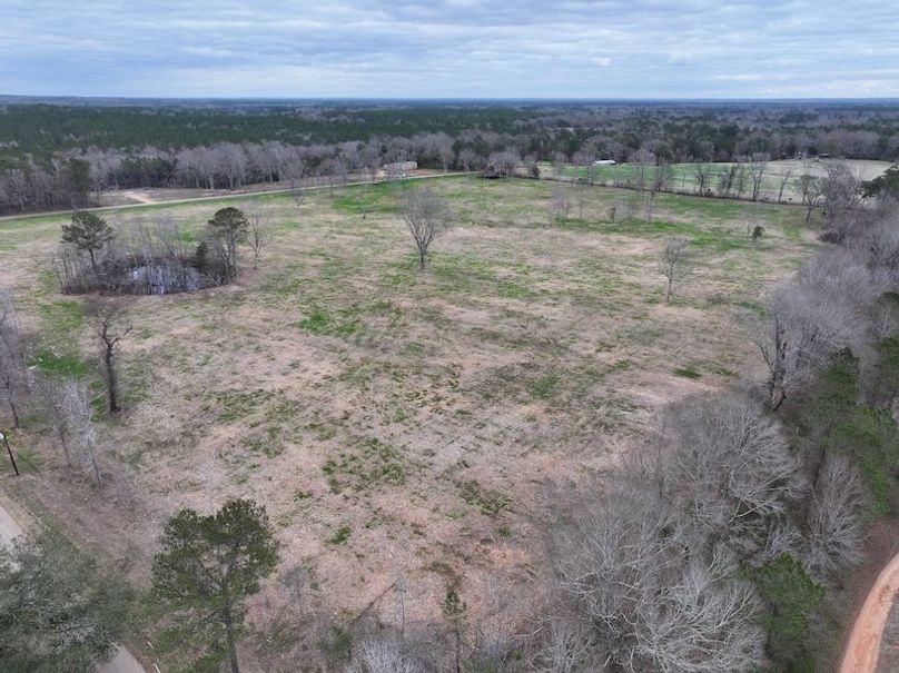 Copy of Copy of dji_fly_20260217_144304_0171_1771436897659_photo