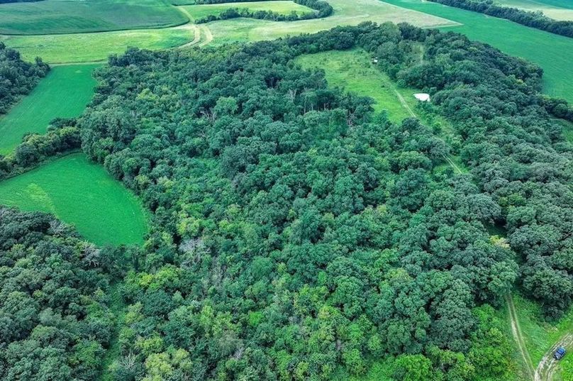 Winneshiek 15.63 Cover