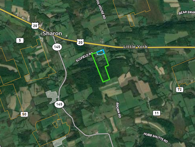 Schoharie 82.63 Smullen Town map