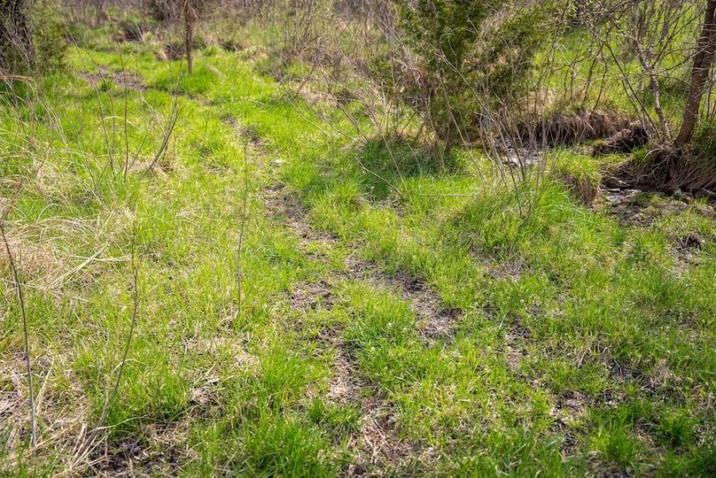 WabaunseeKansas887.39-142