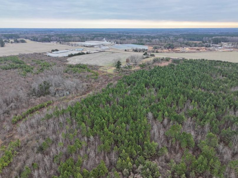 dji_fly_20251224_113310_0205_1767705726018_photo