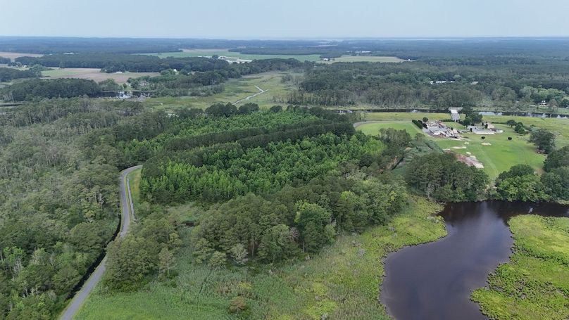 IMG13_60AC_dji_fly_20250613_102318_0003_1749852328112_photo