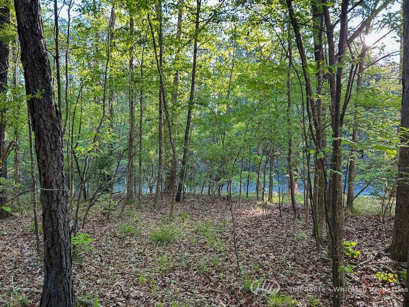 Hinds Co - 51 - Hughes-83