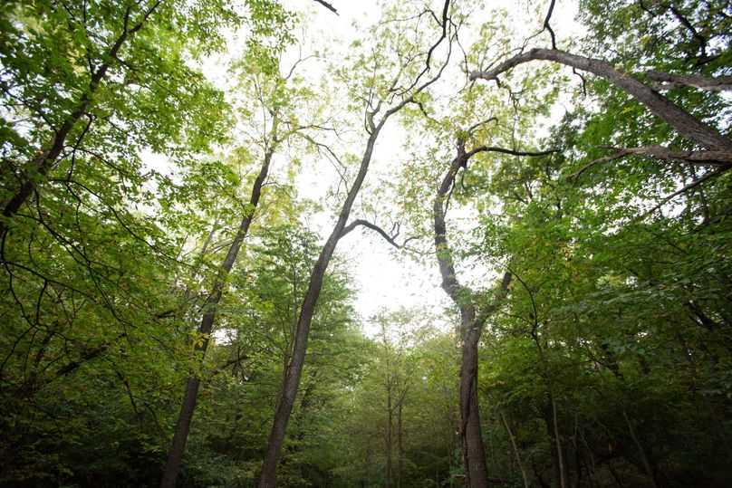 FREMONT CO. IA 158.32_112