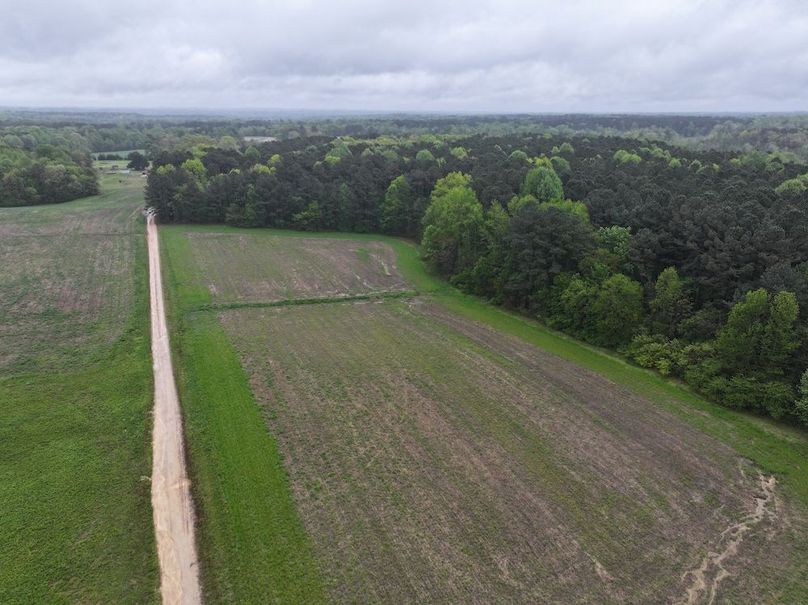 Copy of DJI_20250411111216_0028_D