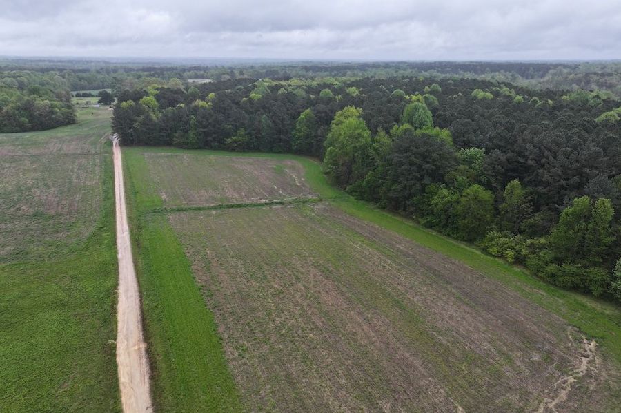 Copy of DJI_20250411111216_0028_D