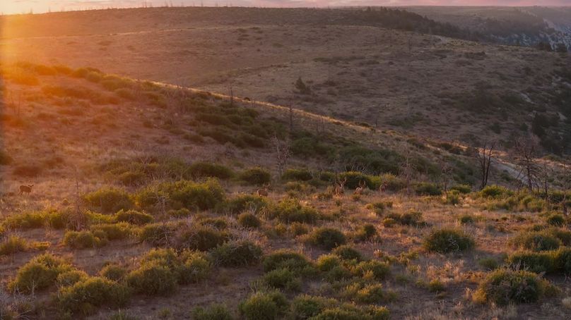 DJI_20250813072502_0427_D