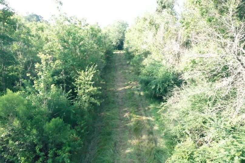 DJI_0624