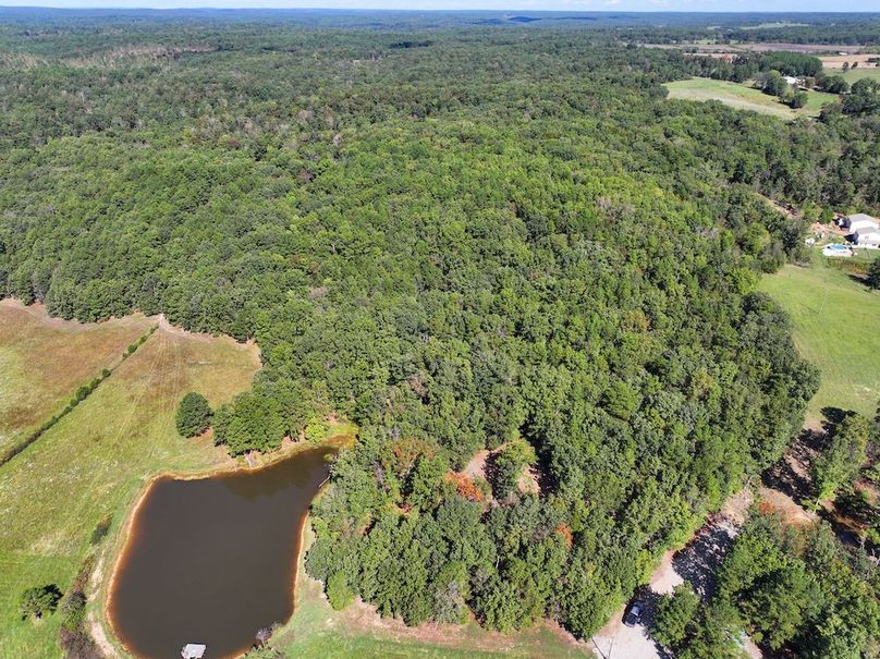 DJI_20240925112818_0217_D