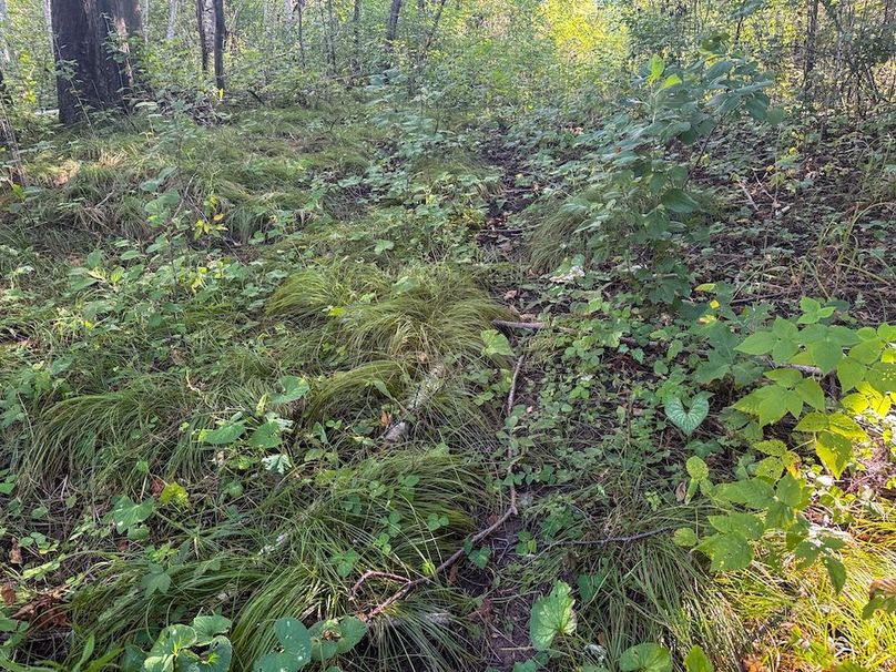 Pantzke Ground Photos-21