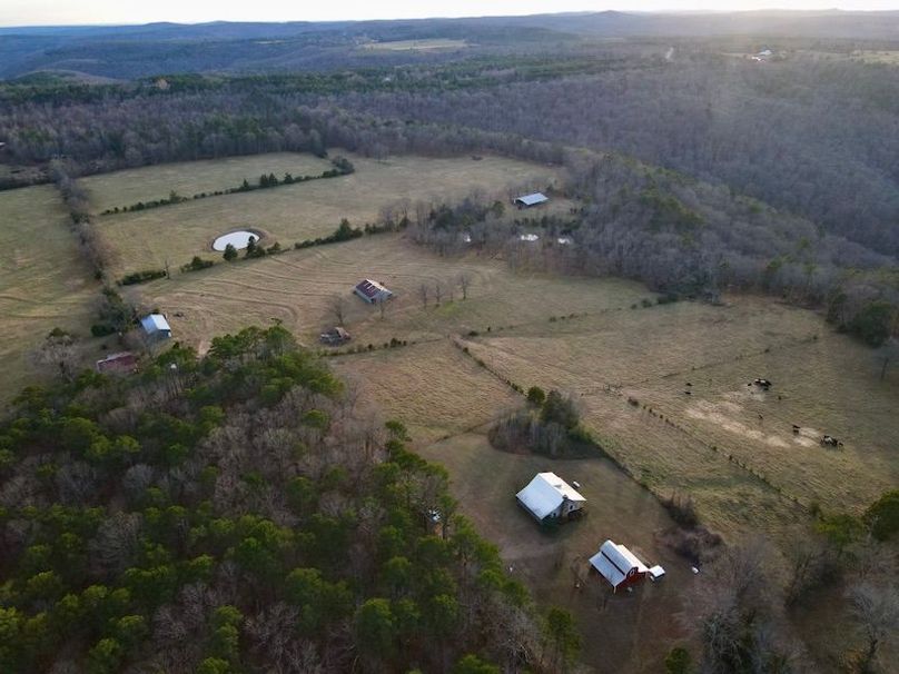 dji_fly_20251211_161756_939_1765637594729_photo