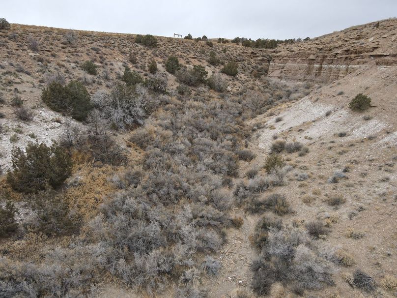 dji_fly_20240205_120558_360_1707160153078_photo