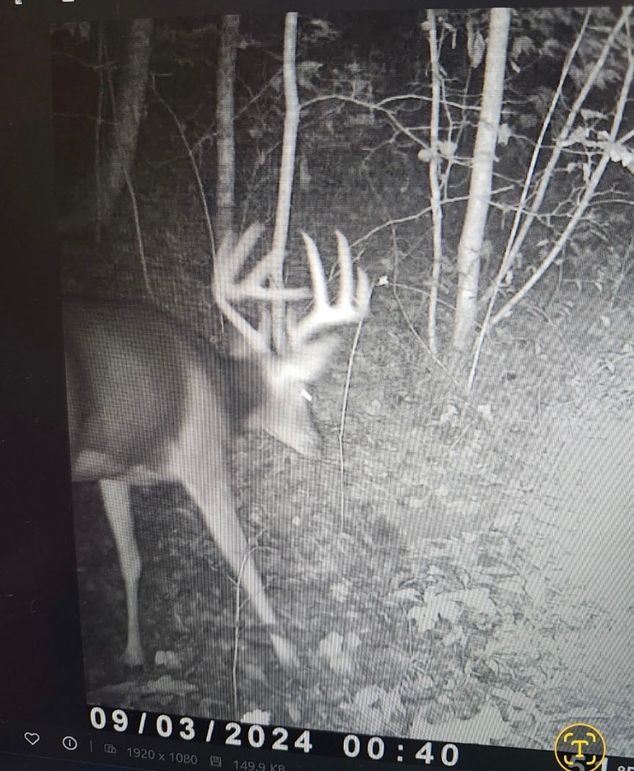 3414904467967329497 2