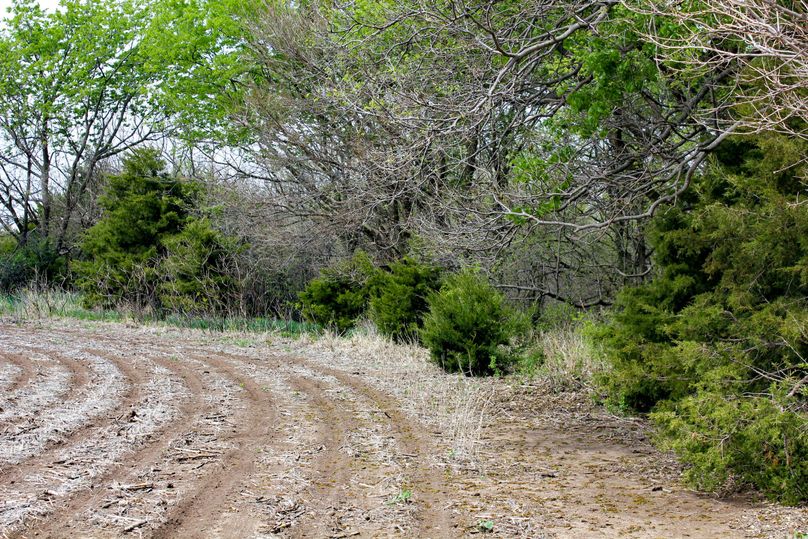 Republic, KS, 155.8_021