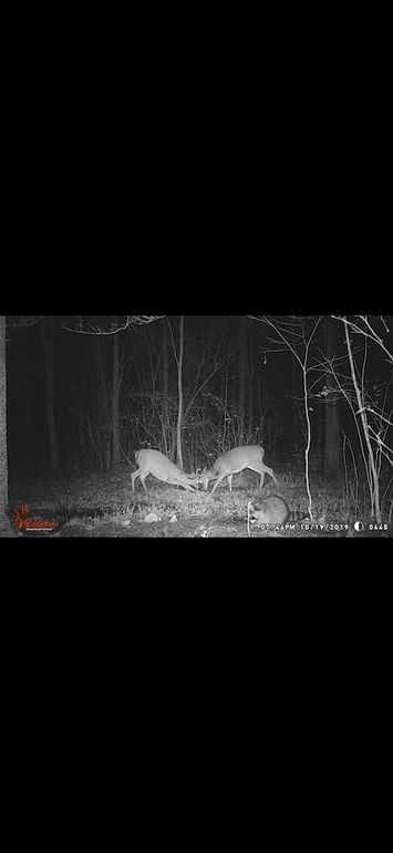 IMG_1407