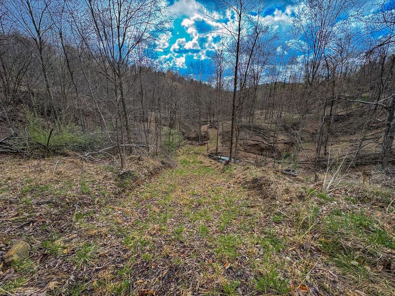 Wirt, WV 156.941 AC Full-09
