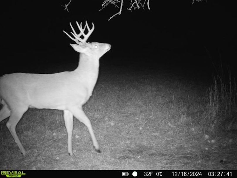 868032067092464-90-4-12162024032740-W1024023