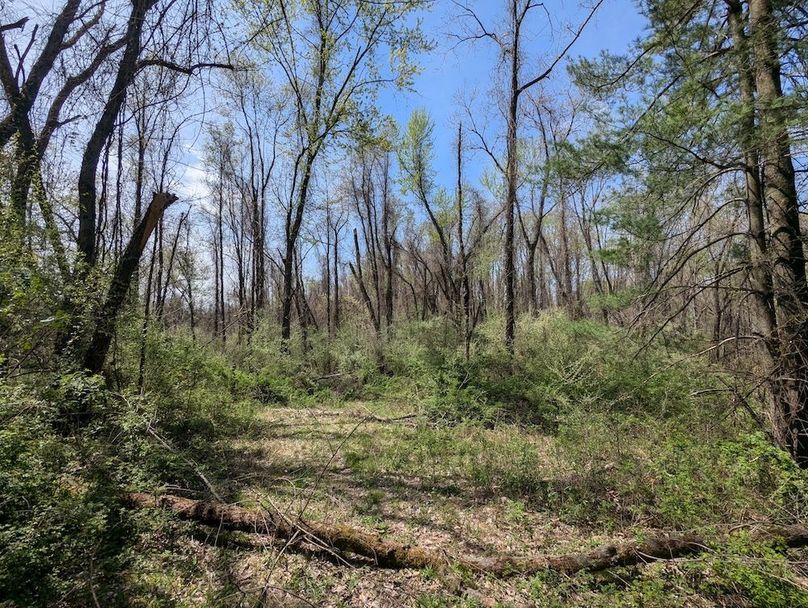 PXL_20250422_165627975