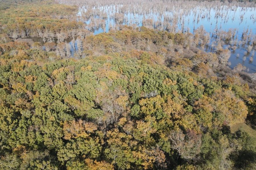 dji_fly_20241202_140922_390_1733170197616_photo