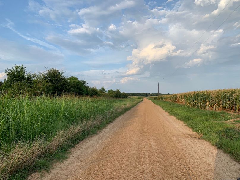 CEBDD61D-DBAE-440C-861D-50CEA99128BE_1_102_o