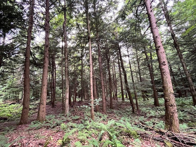 Oswego_133.72_Middleton_Photos_38